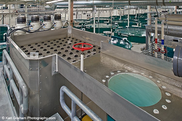 RAS recirculating aquaculture system Hydrotech drum filter aquaculture anchorage